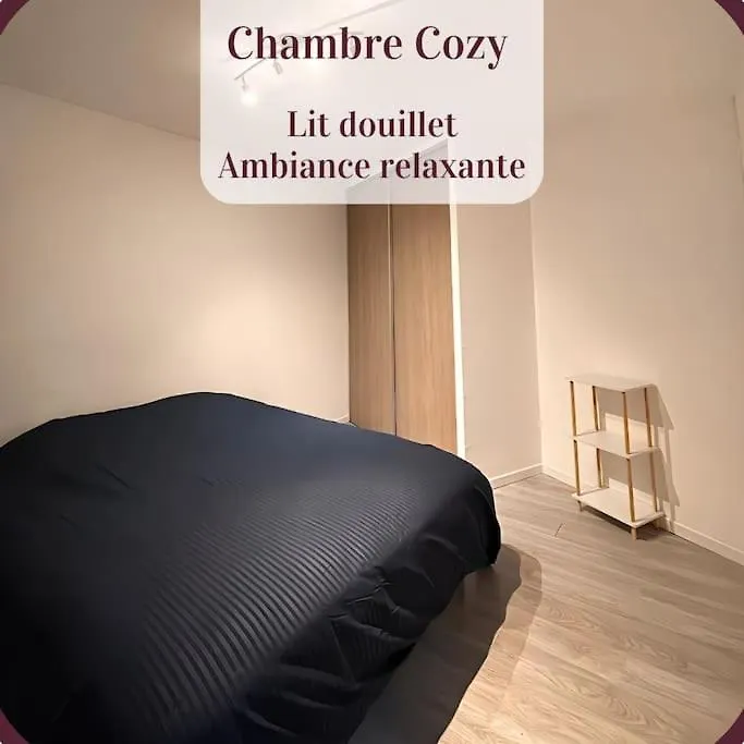 Appartement 2 Pieces Rdc En Duplex Vue Cour Parking Gratuit A 20Metres Роан